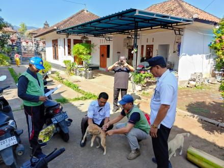 Vaksinasi Rabies Di Desa Banjarasem